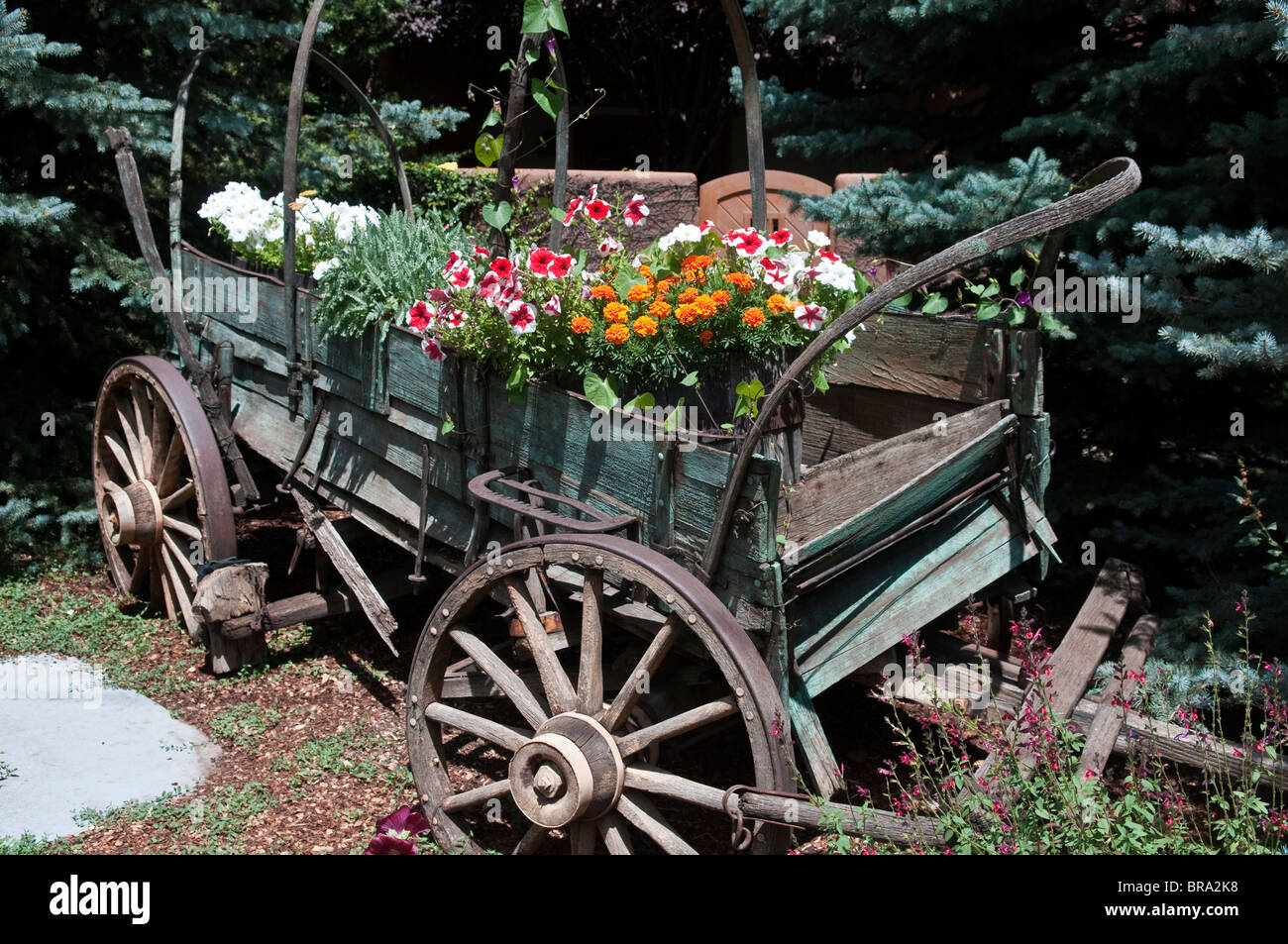 Old wooden wagon with flowers as a decorative piece Stock Photo