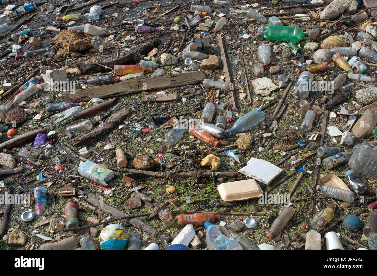 Debris and rubbish floating on inland waterway,Salford Quays,Salford,Greater Manchester,UK. Stock Photo