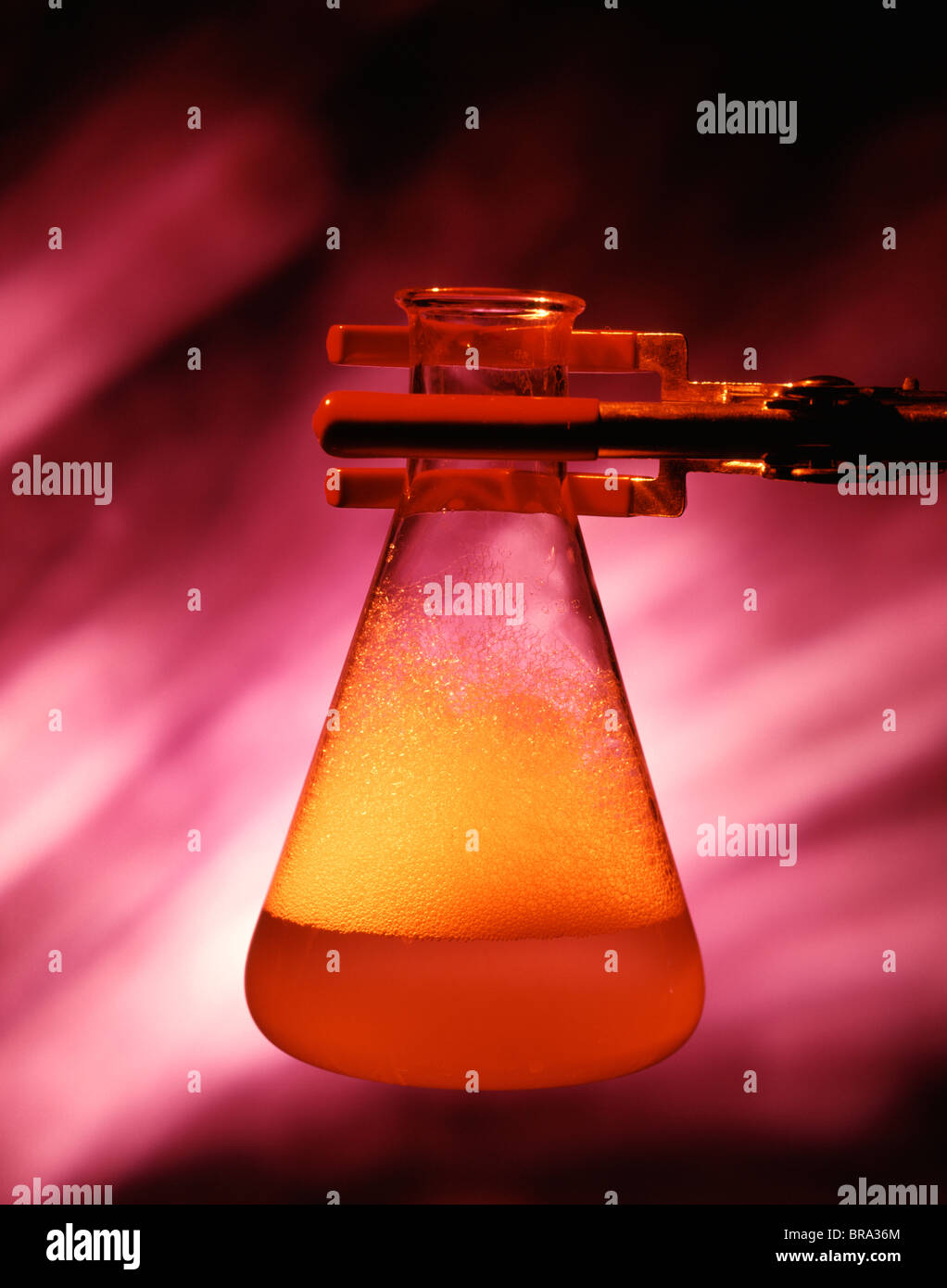1970s LABORATORY STILL LIFE OF METAL SUPPORT HOLDING FLASK FILLED WITH RED SUDSY LIQUID Stock