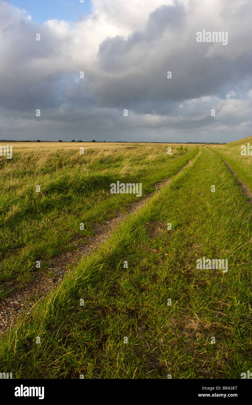 stormy weather,berney arms trail,marsh,Great Yarmouth,Norfolk,UK Stock Photo
