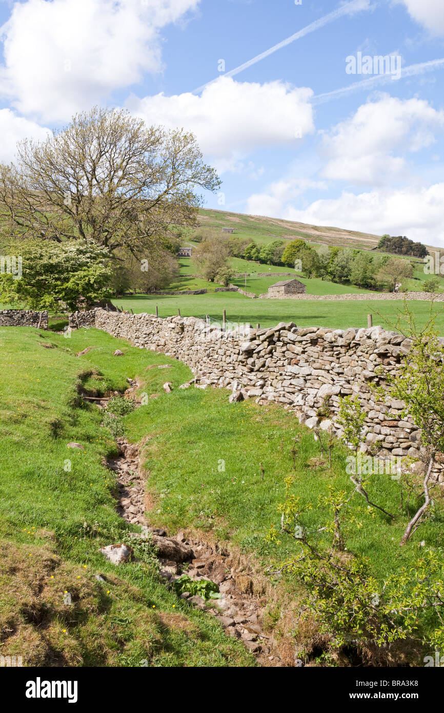 Dentdale near Cowgill in the Yorkshire Dales National Park. east of