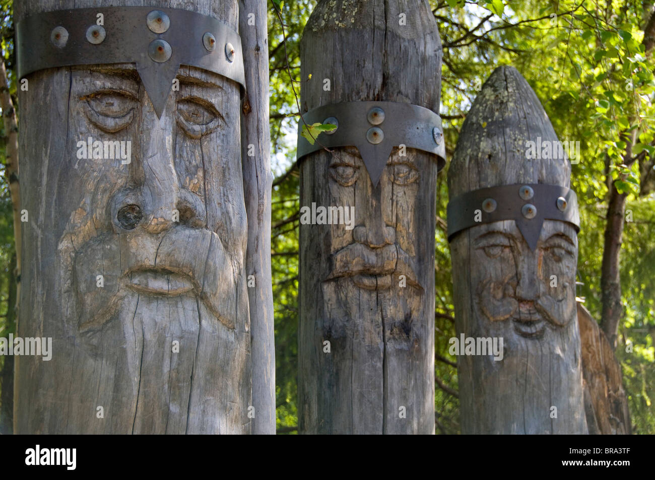 Russia, Murmansk, Lesnaya. Popular natural forest along the Tuloma River Stock Photo