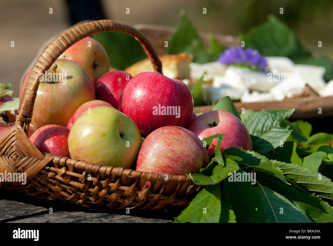 Serbia, Donji Milanovac. Port city along Danube River. Traditional Serbian snack with apples, goat cheese & bread. Stock Photo