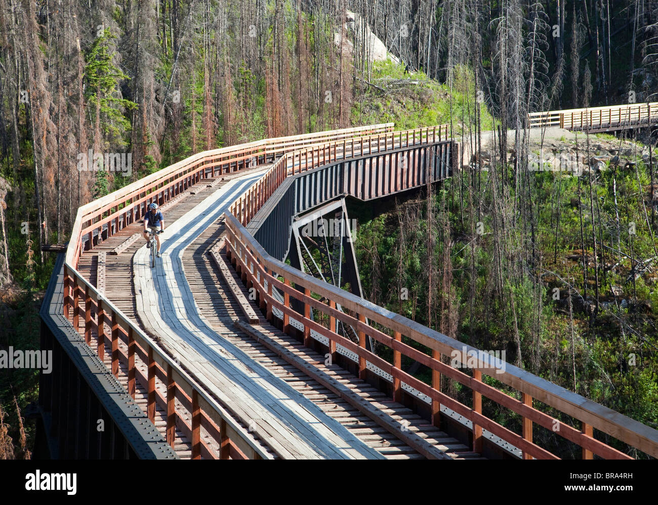 Biker rides across trestle in Myra Canyon on the Kettle Valley Railway
