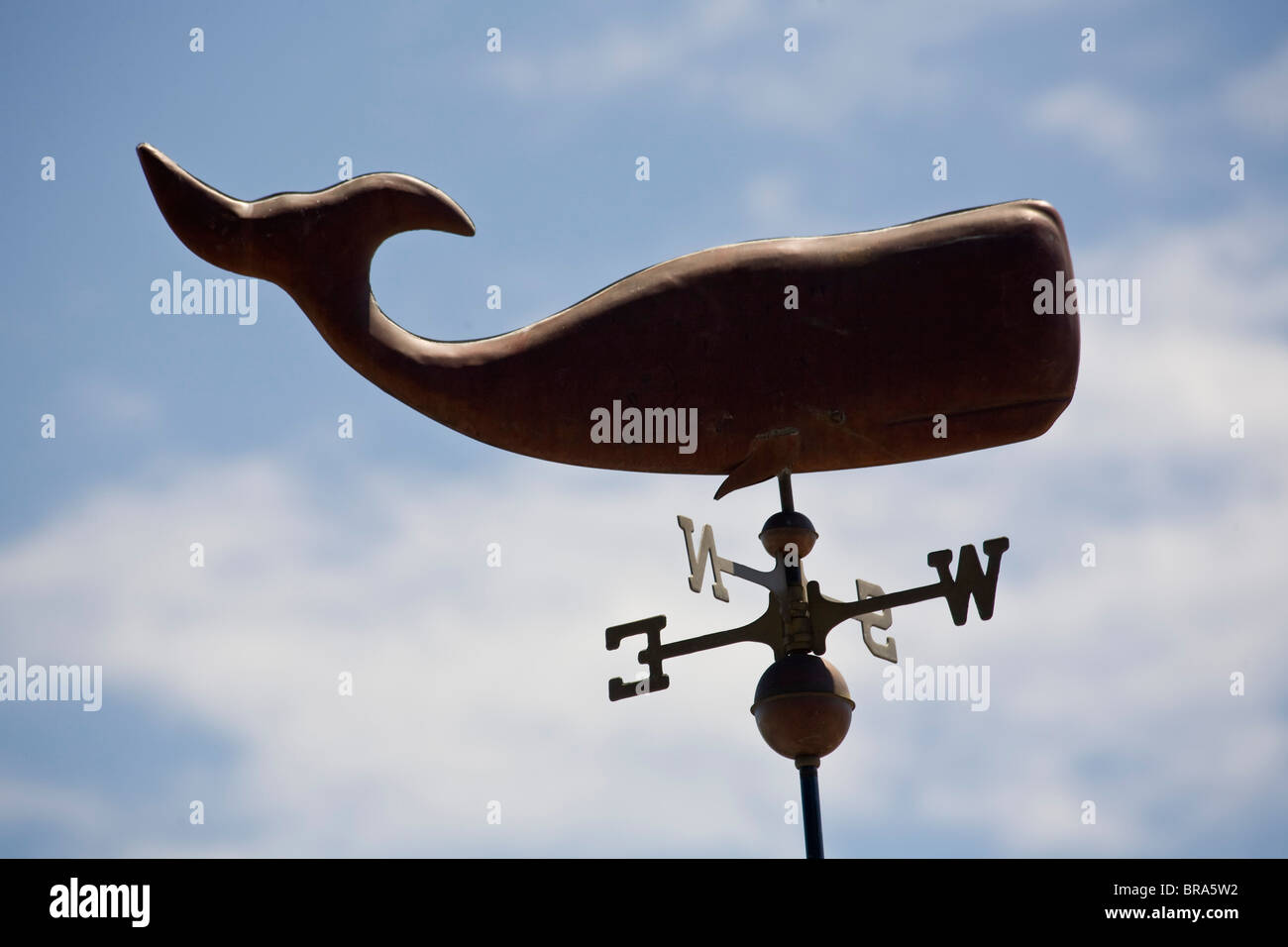 Canada, Prince Edward Island, Sperm whale weathervane Stock Photo Alamy