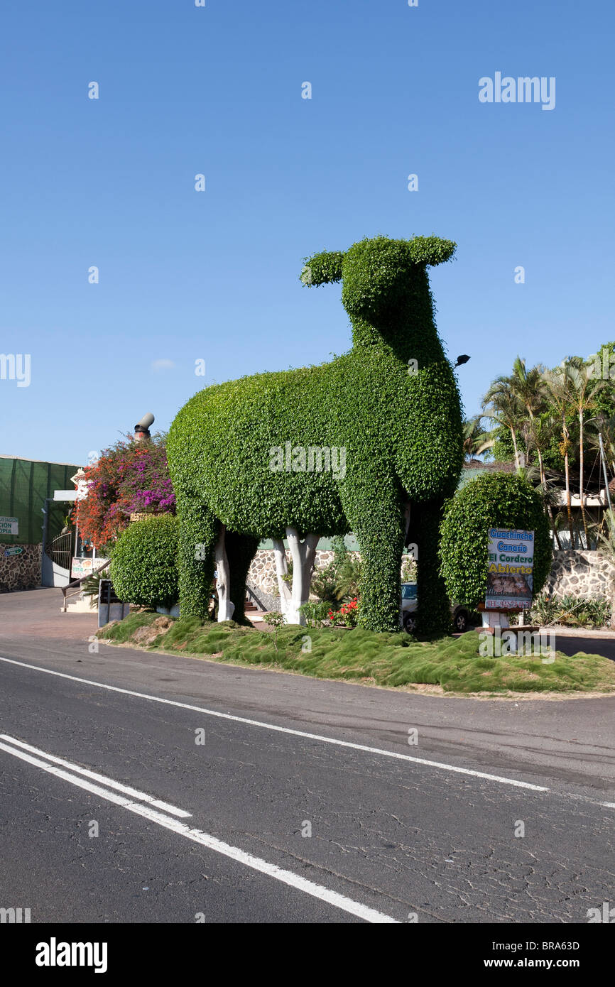 A group of trees trimmed into the shape of a giant lamb topiary to advertise a restaurant at Guargacho in Tenerife Stock Photo