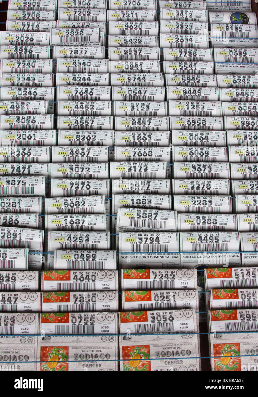 Panama National Lottery tickets on display Stock Photo Alamy