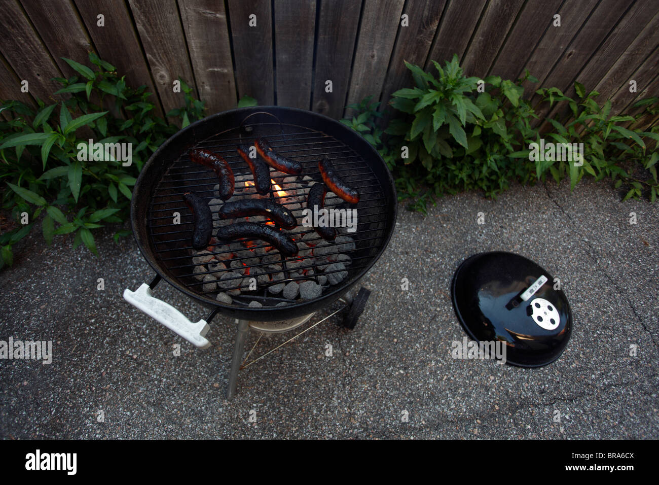 Flames from charcoals lick burnt bratwursts on a black, round grill. Stock Photo