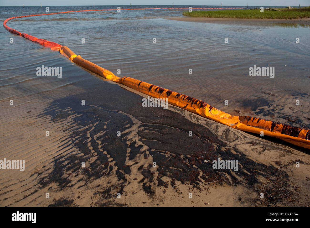 Oil from the BP Deepwater-Horizon oil spill in the Gulf of Mexico covers the shore in Waveland, Mississippi. Stock Photo