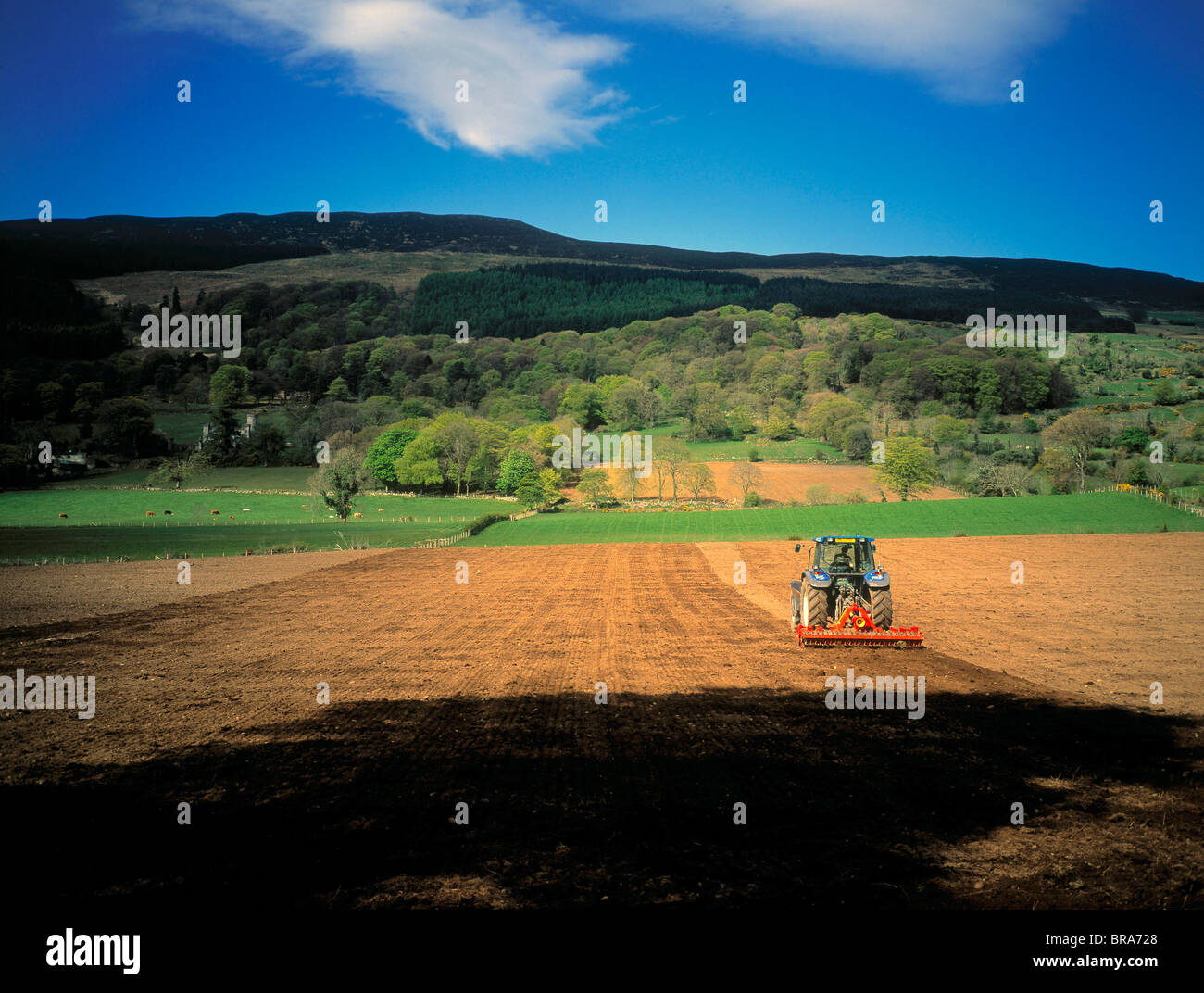 Slieve Gullion, Co Armagh, Ireland; Tilling Below A Mountain Stock Photo