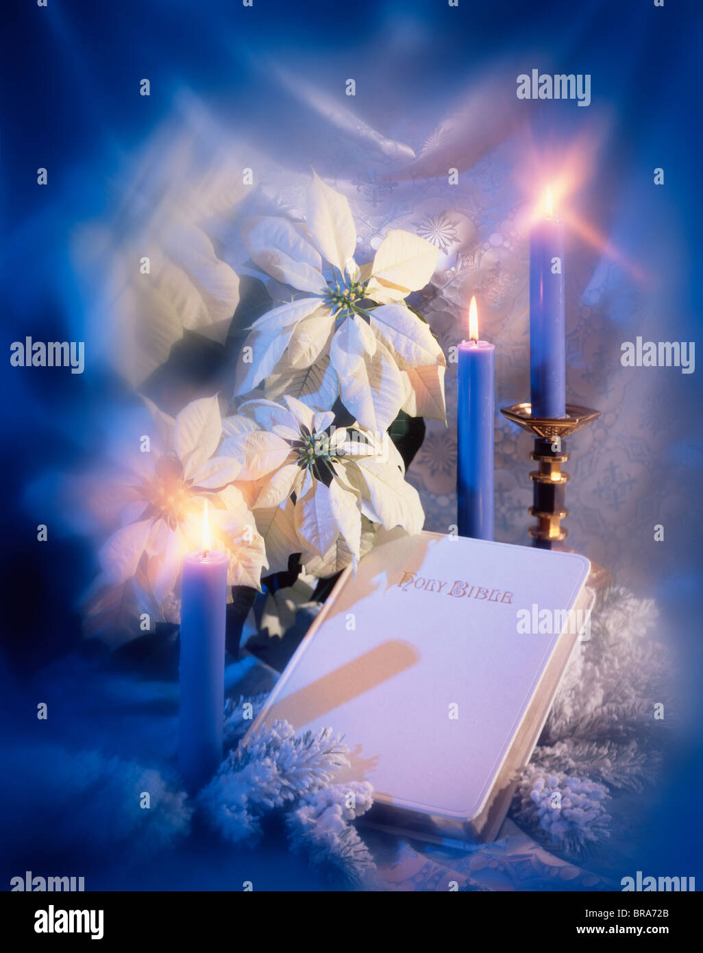 WHITE BIBLE WHITE POINSETTIAS BLUE CANDLES WHITE LACE BACKGROUND SNOW COVERED EVERGREEN BRANCHES Stock Photo