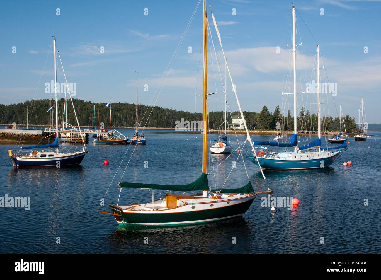 Canada, Nova Scotia, Chester sailboats in harbor Stock Photo