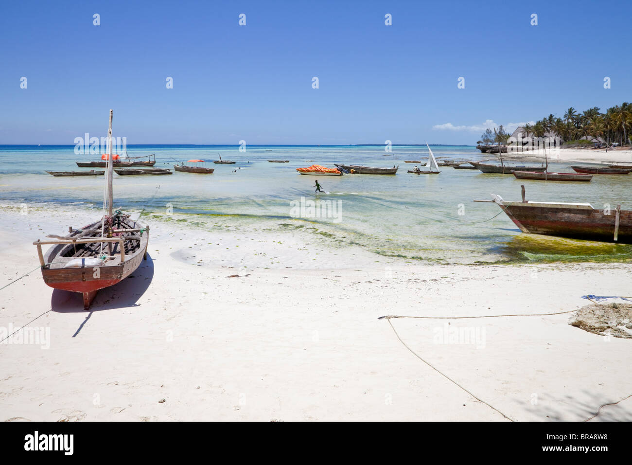 Kizimkazi Dimbani, Zanzibar Beach Scene, Fishing Boats Stock Photo Alamy