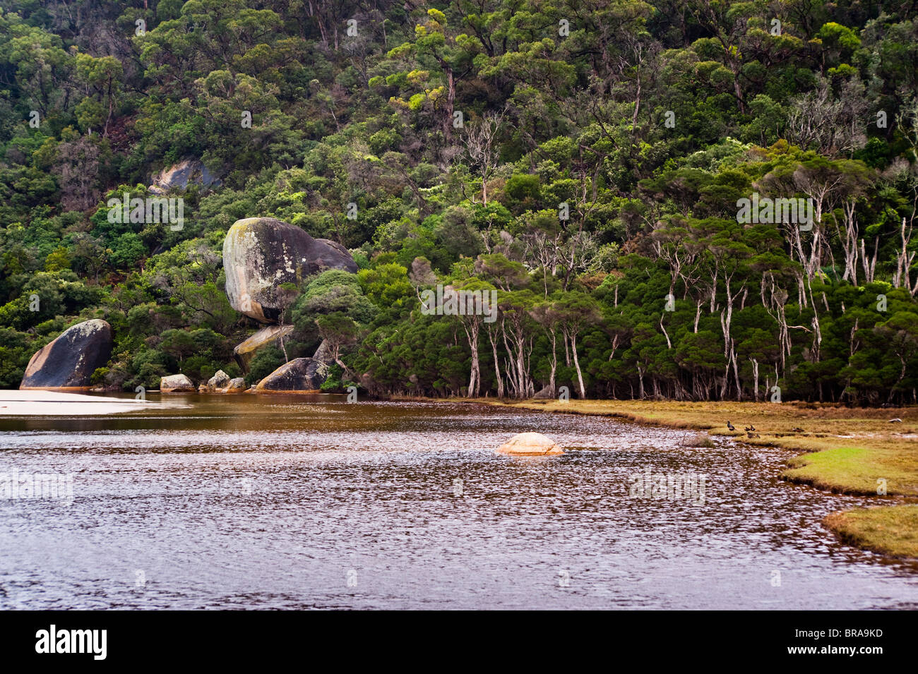 Wilsons Promontory National Park, Victoria, Australia, Pacific Stock Photo