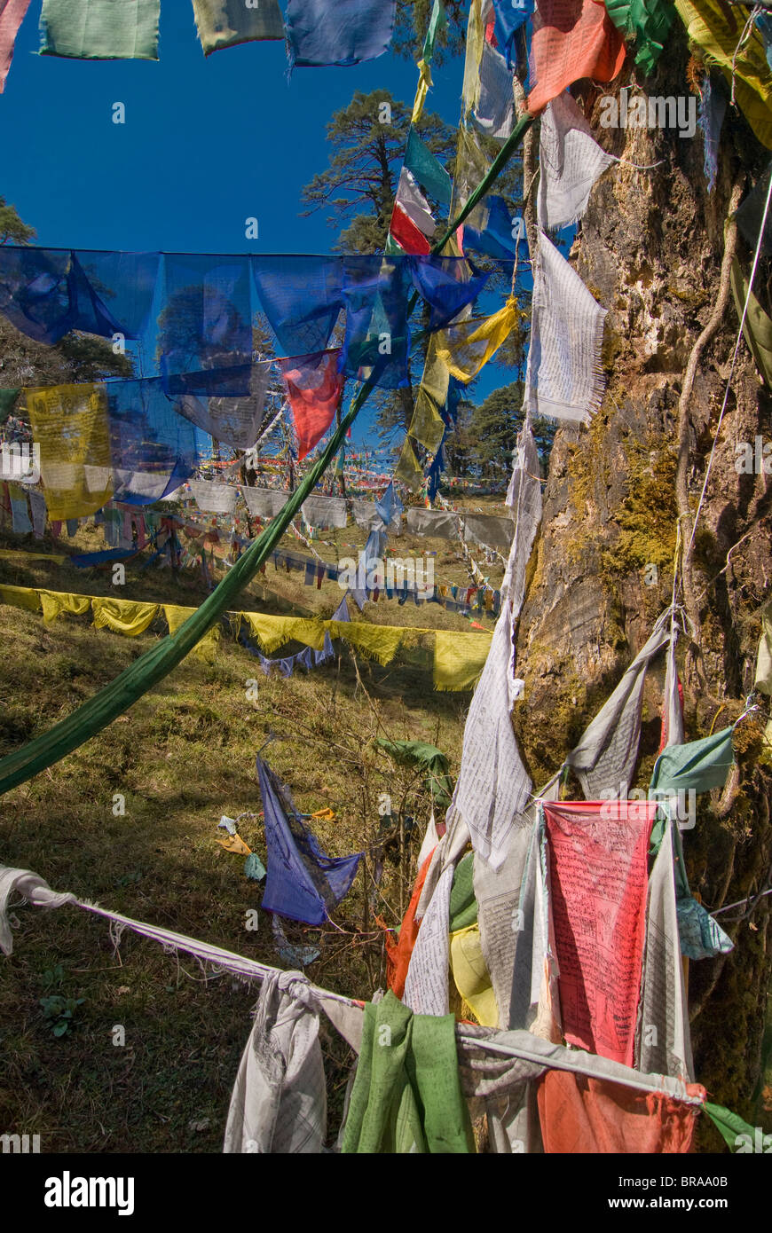 Prayer flags on the pass, Dochu La, Bhutan, Asia Stock Photo