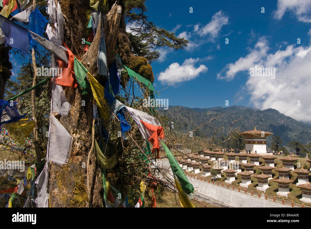 Prayer flags on the pass, Dochu La, Bhutan, Asia Stock Photo