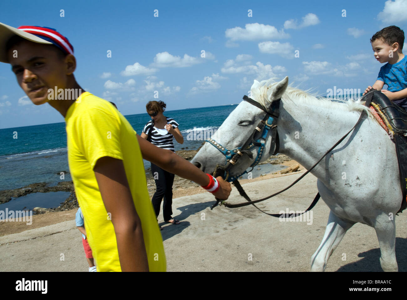 Arab horses riding at el Mina sea Tripoly city north Beirut Lebanon