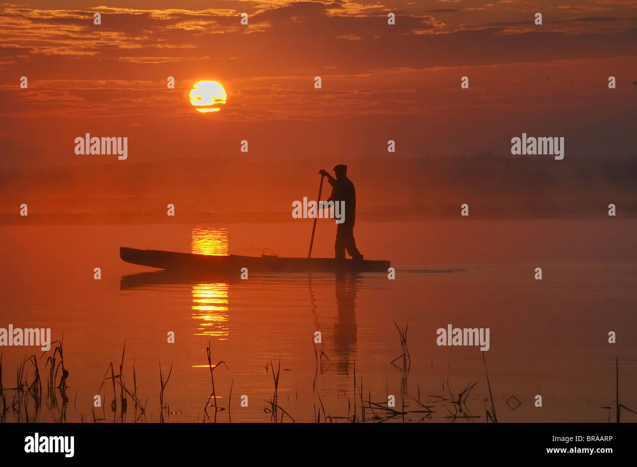 Traditional fishing punt at sunrise, Biebrza marsh, Poland Stock Photo