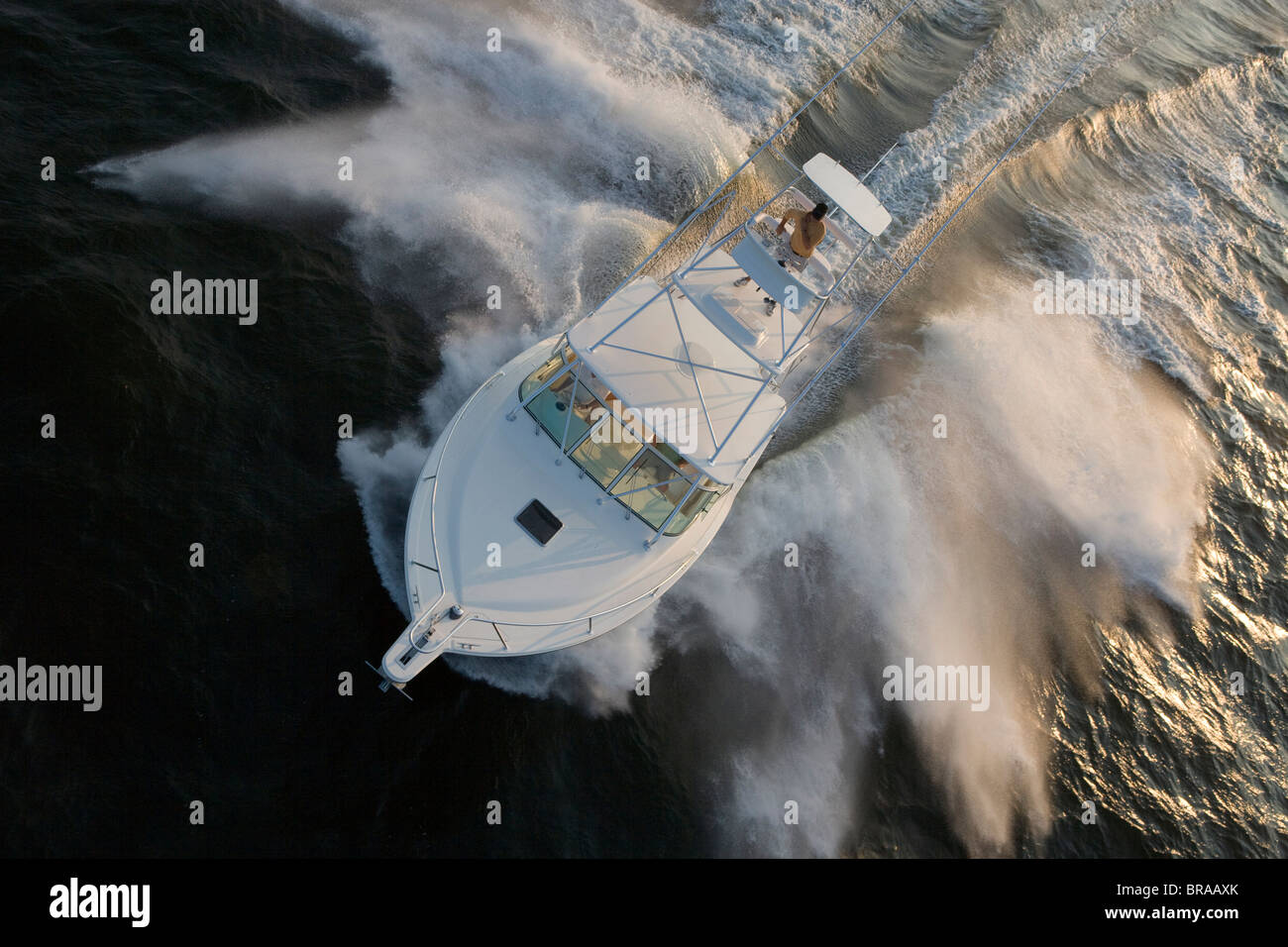 Man steering a sportfisher boat from the tuna tower. Model and property