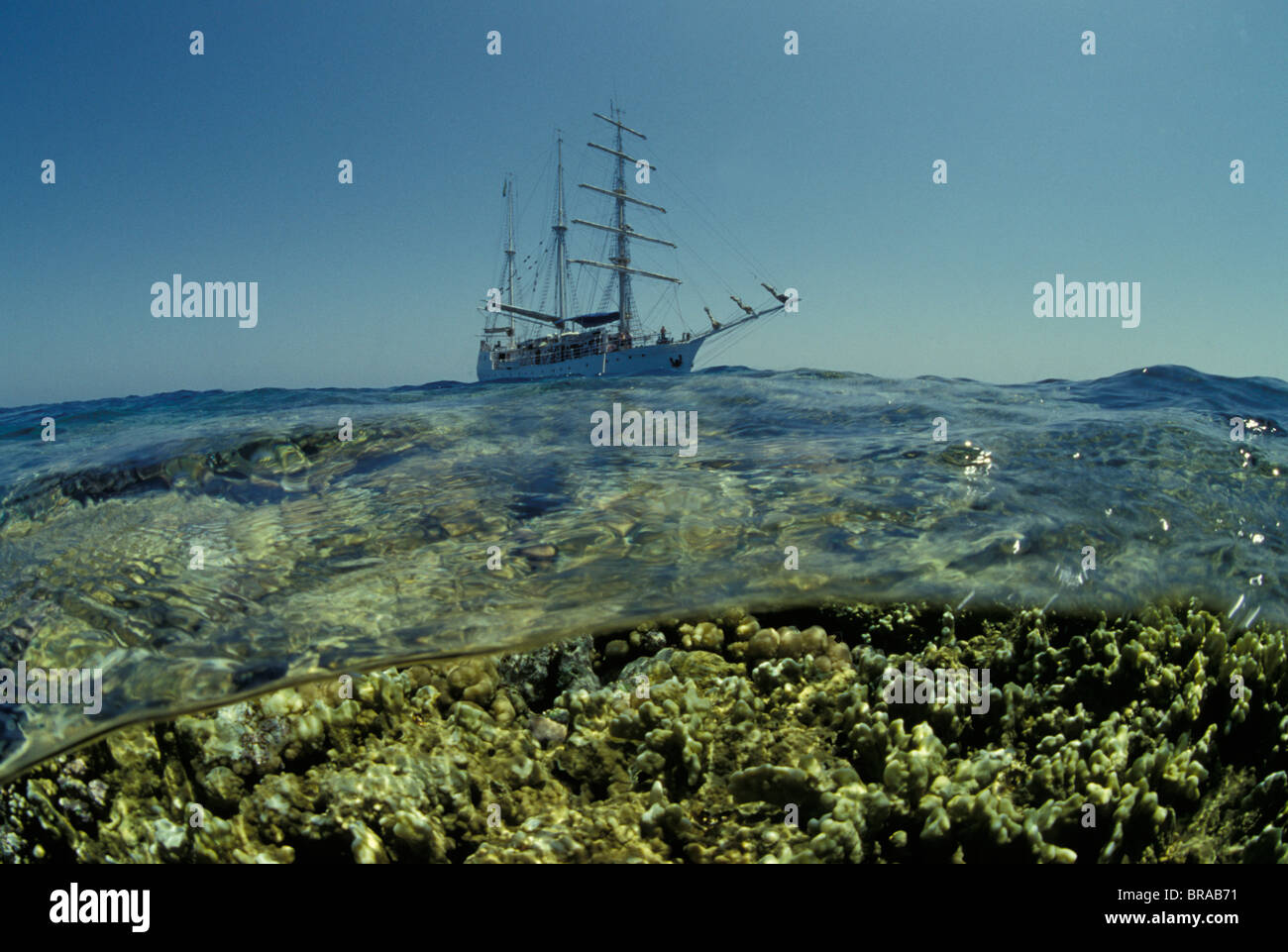 Square rigger 'Amorina', Red Sea. Stock Photo