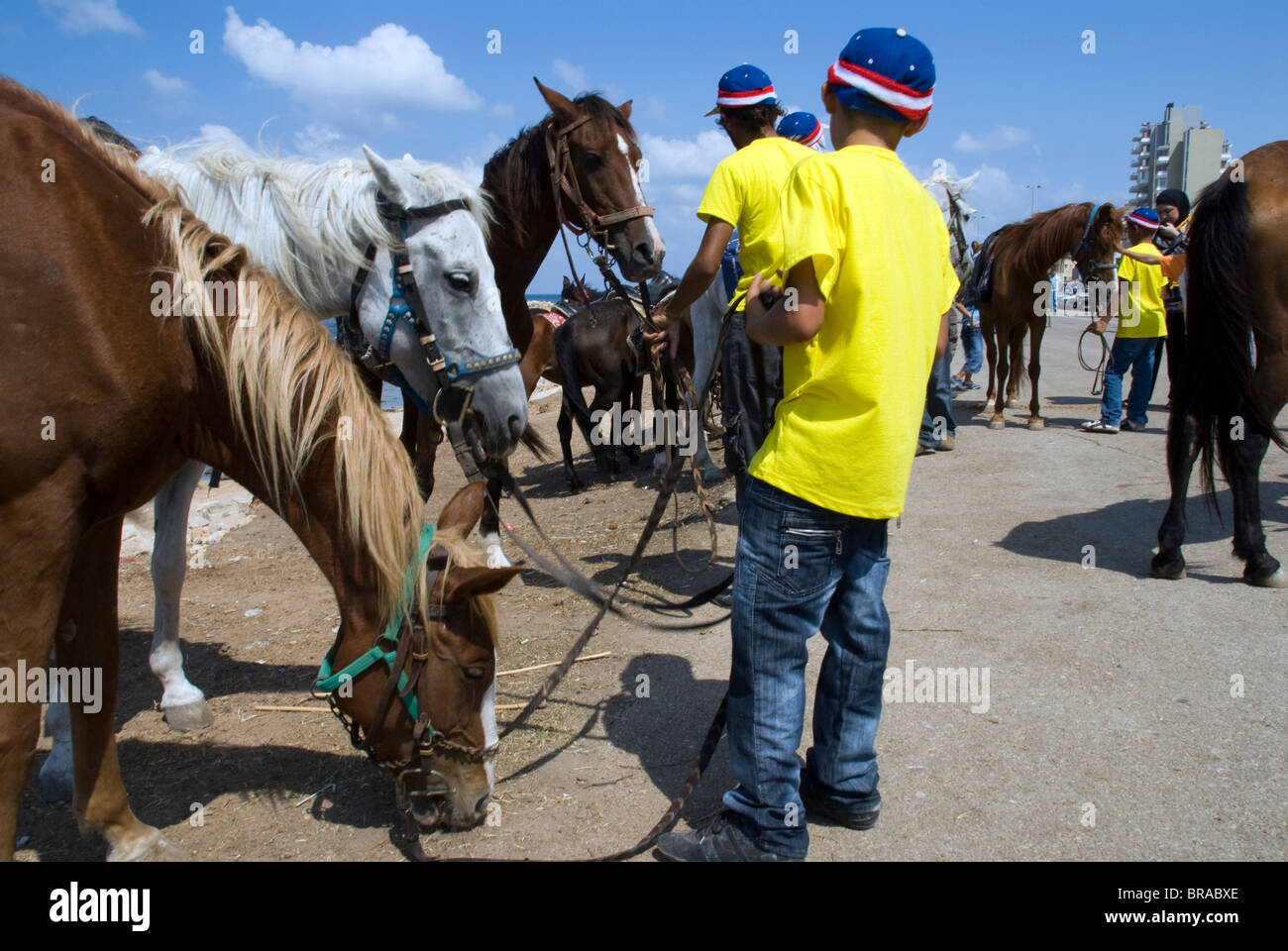 Arab horses riding at el Mina sea Tripoly city north Beirut Lebanon
