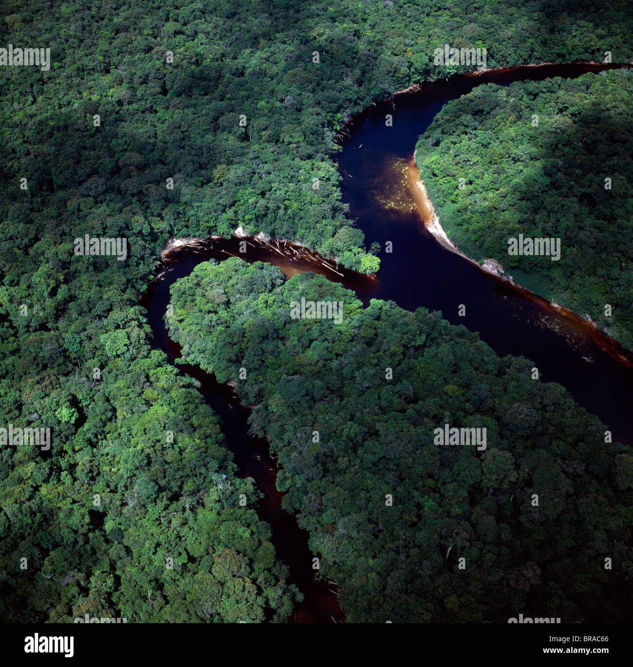 Aerial image of the confluence of Paikwa River with Kako River, Upper Mazaruni District, Guyana, South America Stock Photo