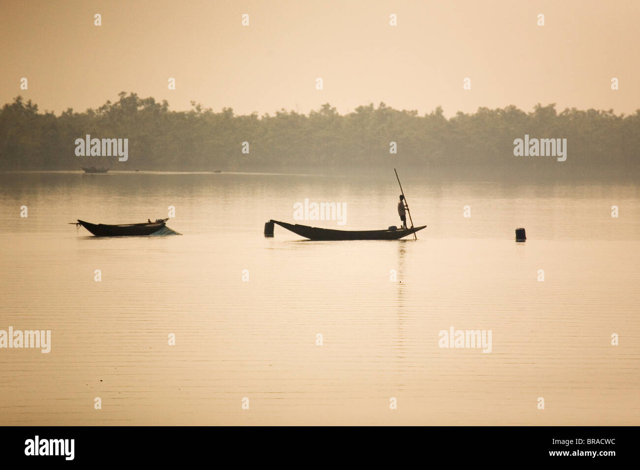 A man stands on a boat in the Sunderbans (Sundarbans) National Park, UNESCO World Heritage Site, West Bengal, India, Asia Stock Photo
