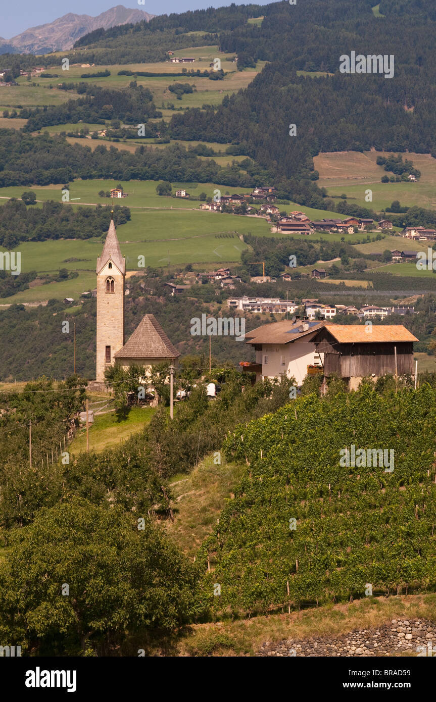 Vineyards, Tiso, Funes Valley (Villnoss), Dolomites, Trentino Alto Adige, South Tyrol, Italy, Europe Stock Photo