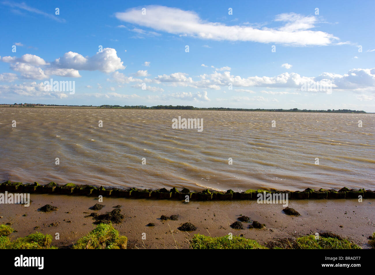 river yare,broads,berney arms trail,marsh,tides,Great Yarmouth,Norfolk,UK Stock Photo