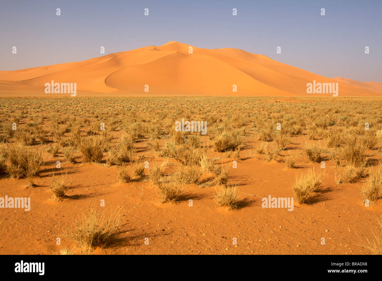 On the dunes of the erg of Murzuk in the Fezzan desert, Libya, North Africa, Africa Stock Photo