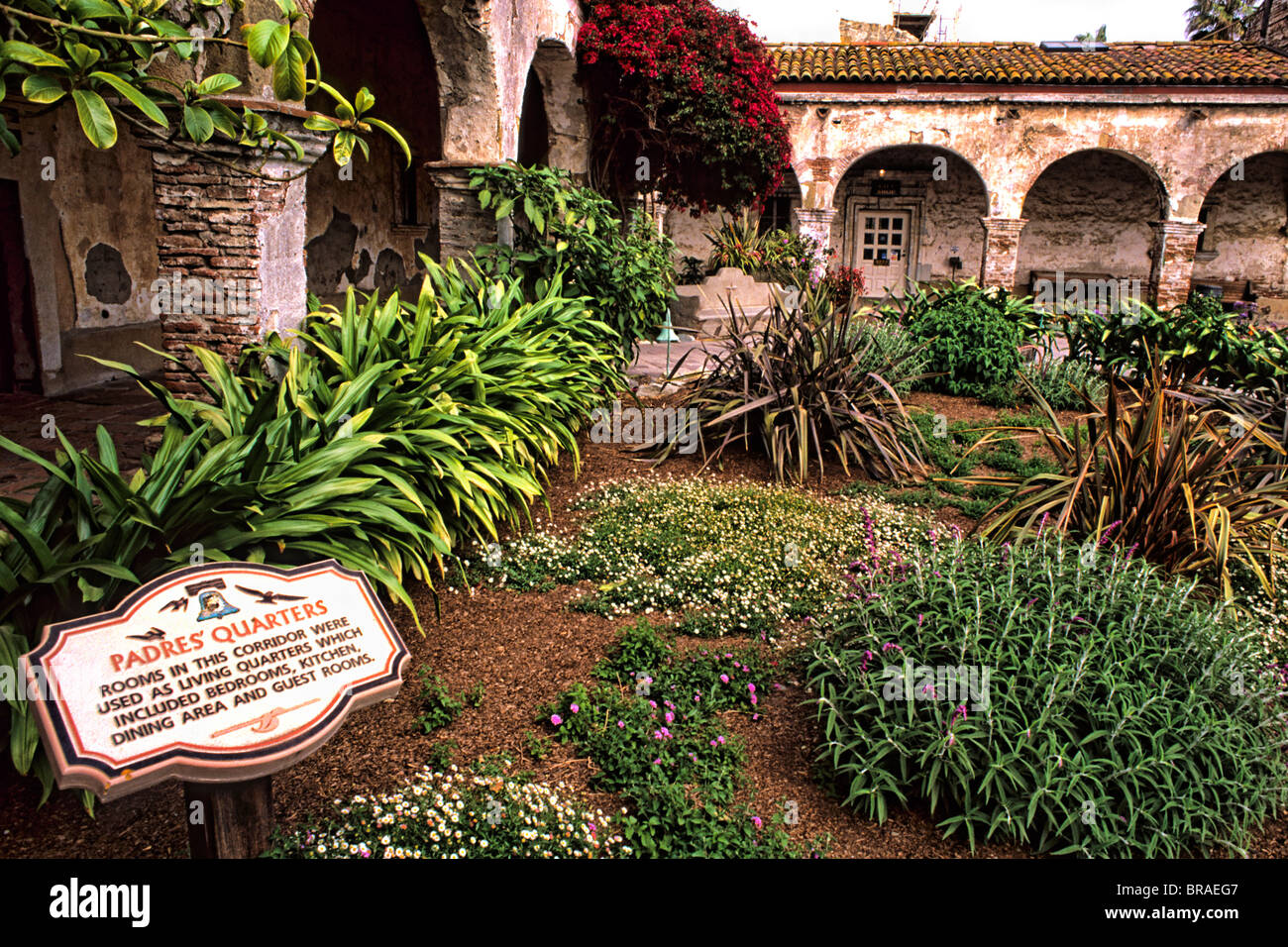 10-18007 Capistrano Garden Swallow main image 1