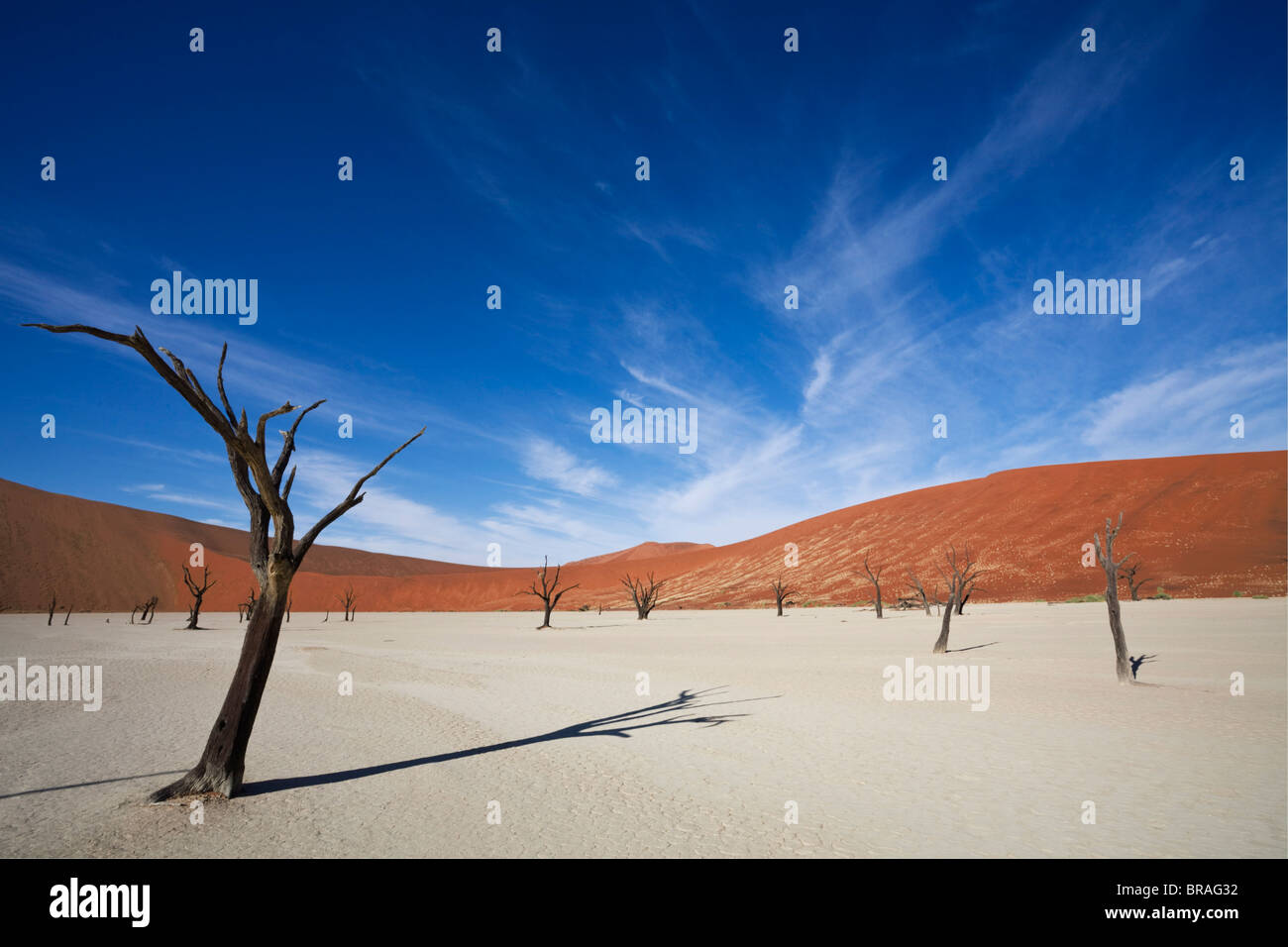 Dead Vlei, Sossusvlei, Namib-Naukluft Park, Namib Desert, Namibia, Africa Stock Photo