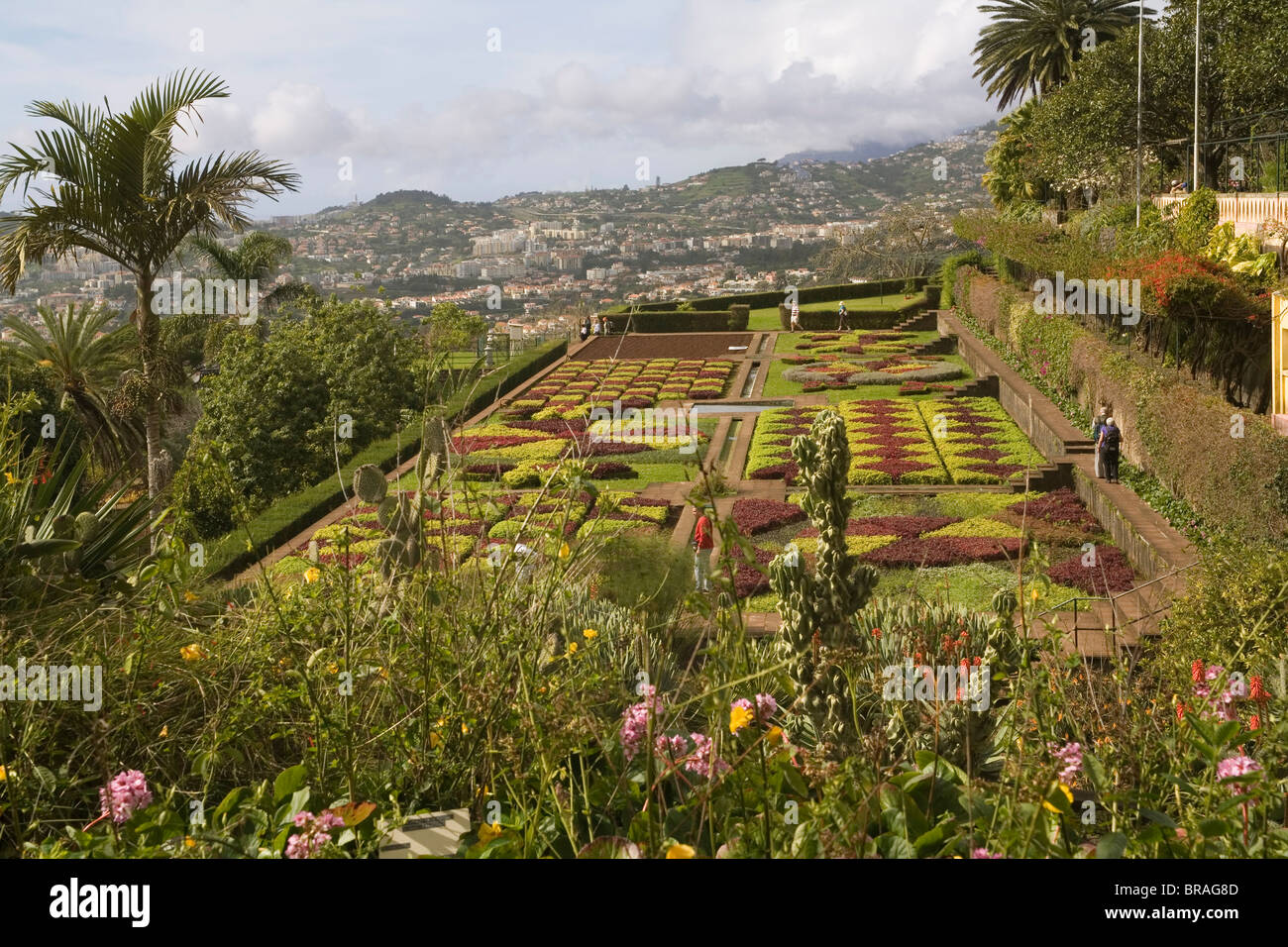 Choreographed garden, Botanical Gardens, Funchal, Madeira, Portugal, Europe Stock Photo