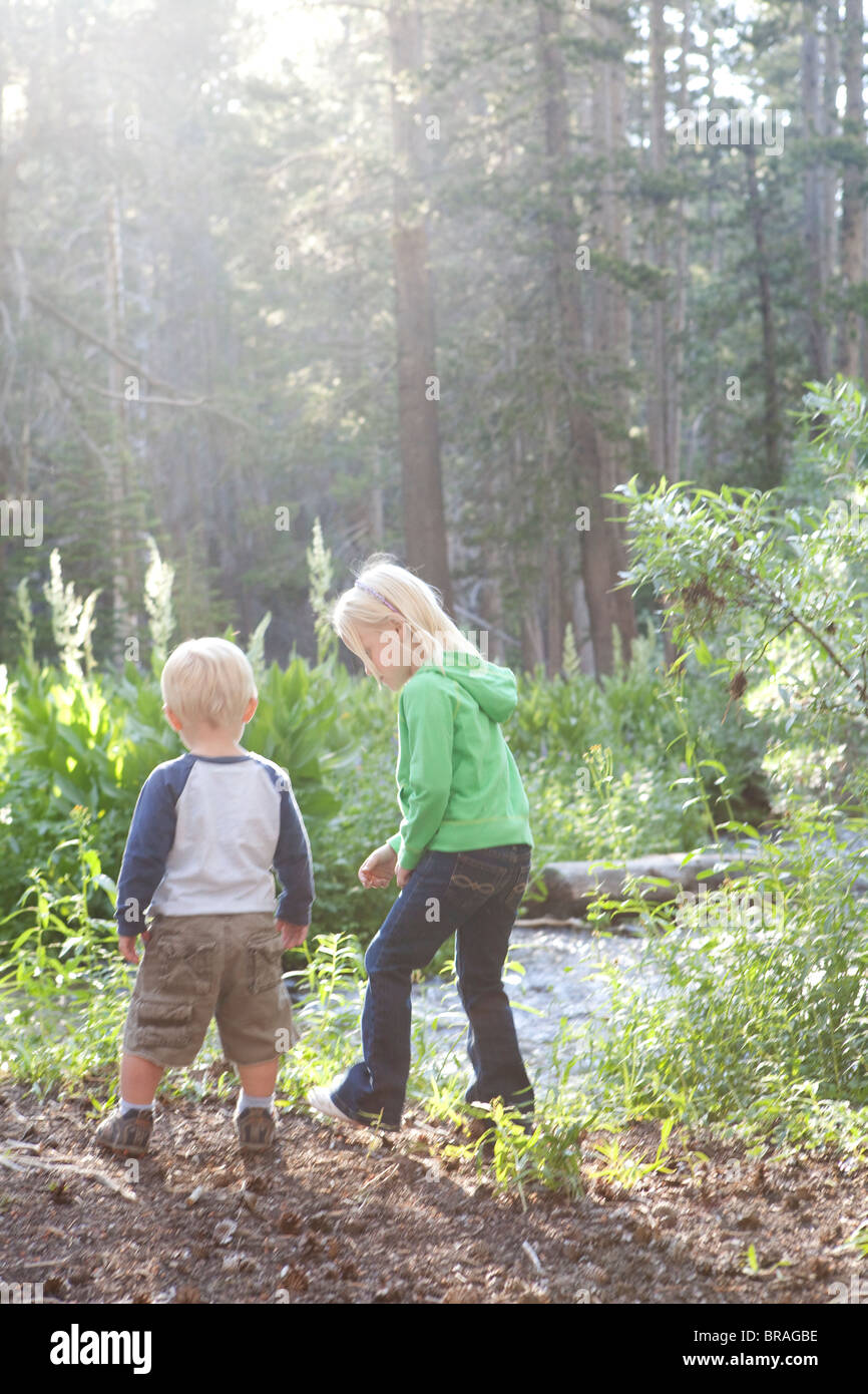 Young boy and girl exploring in the woods Stock Photo