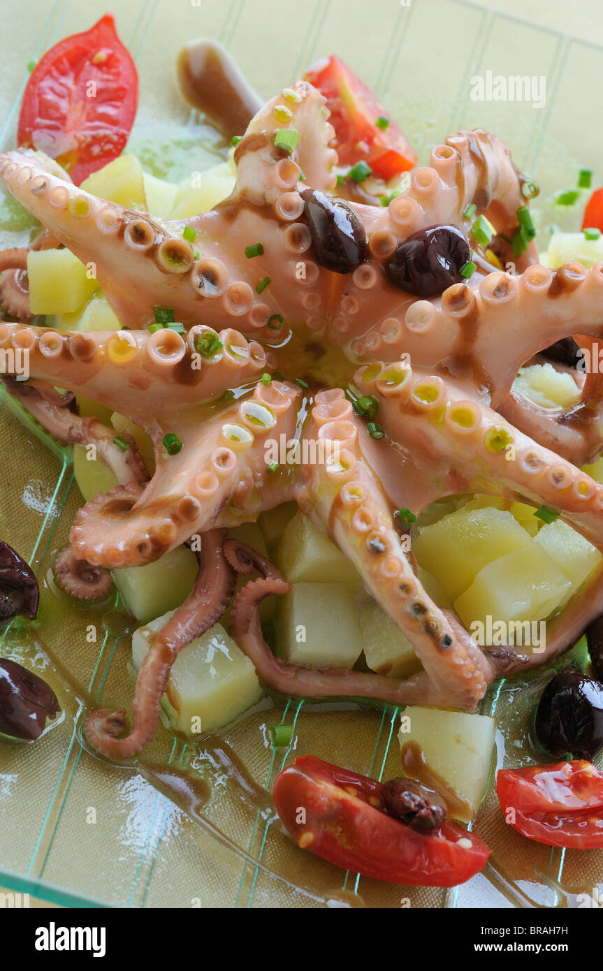 Trieste. Italy. Octopus with potato salad at the Audace Café, Piazza Unità d'Italia. Stock Photo