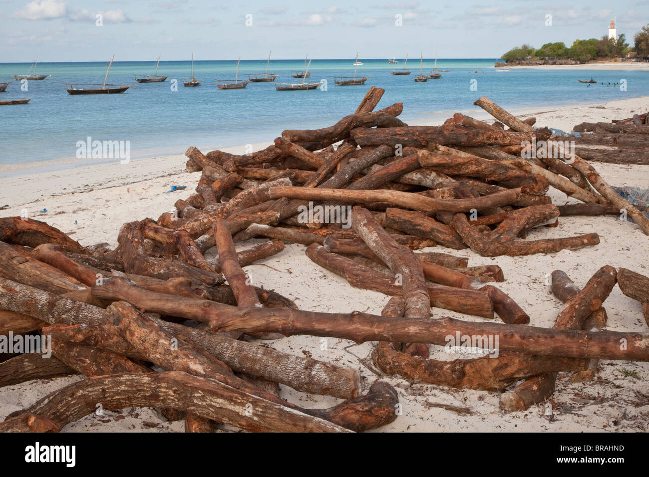 Nungwi, Zanzibar, Tanzania. Dhow Construction. Wood waiting on beach to be used in dhow construction. Stock Photo