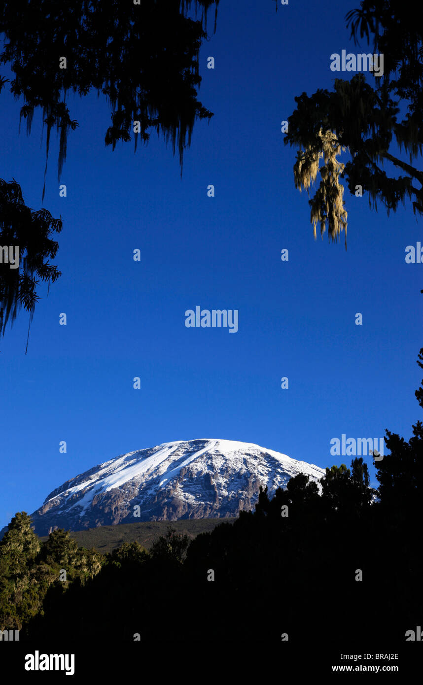 Glaciers in africa hi-res stock photography and images - Alamy