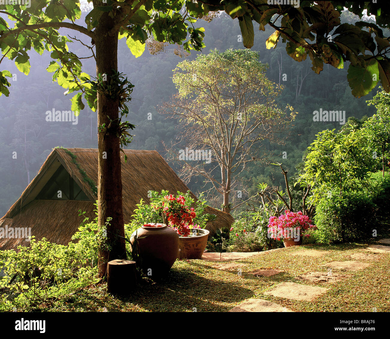 Peaceful  mountain scenery, Chiang Mai, Thailand, Southeast Asia, Asia Stock Photo