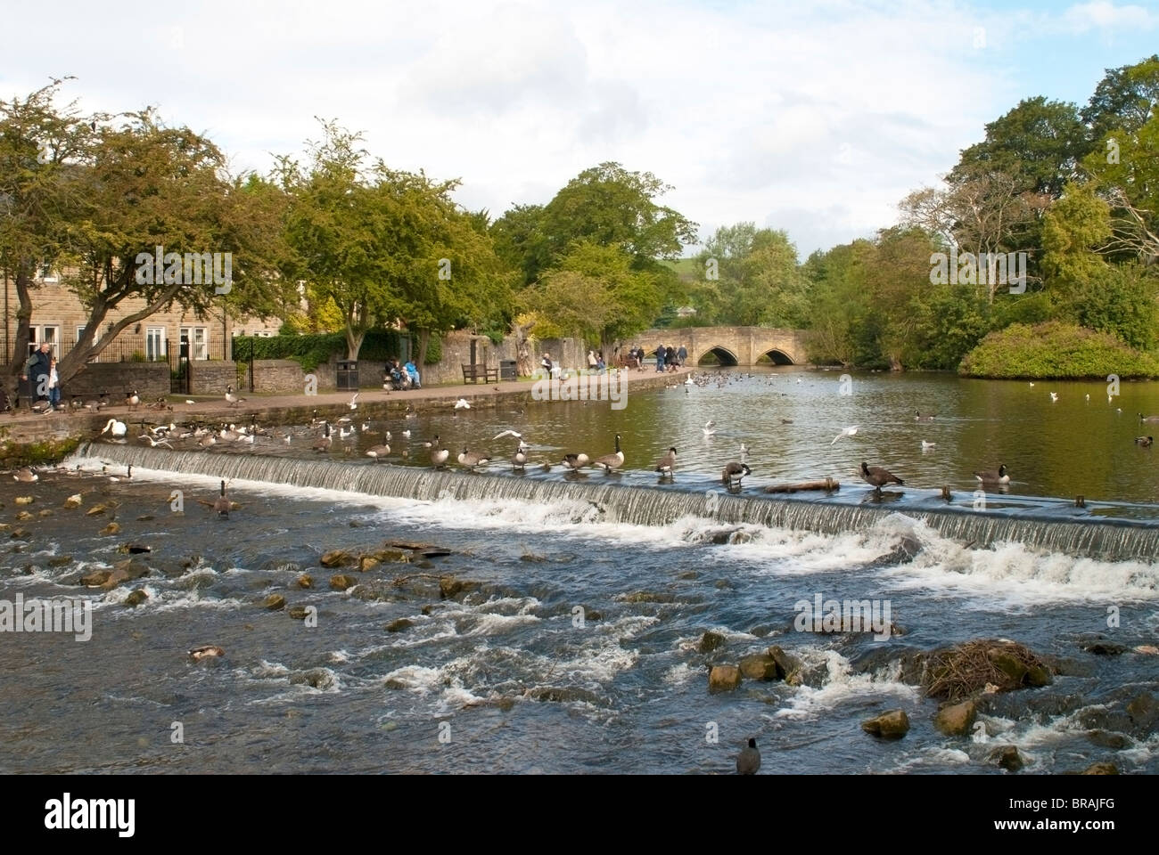 River Wye at Bakewell, Peak District, Derbyshire UK Stock Photo