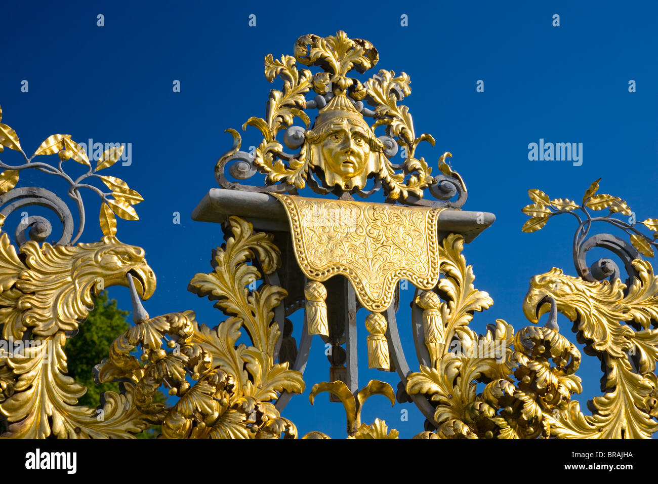 Privy garden 中文 (87) 사진