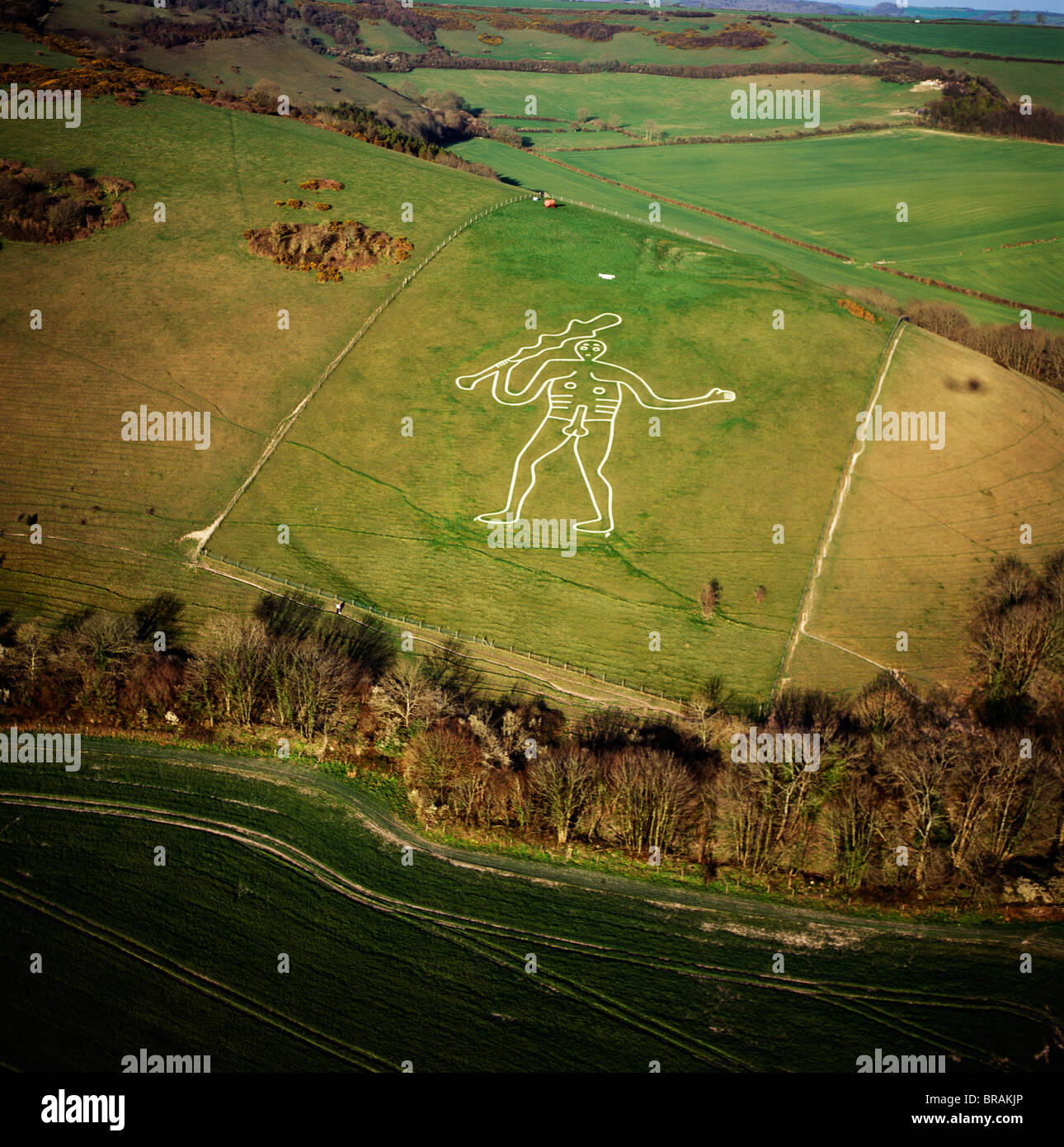 Aerial image of the Cerne Abbas Giant, Cerne Abbas, north of Dorchester, Dorset, England, United Kingdom, Europe Stock Photo
