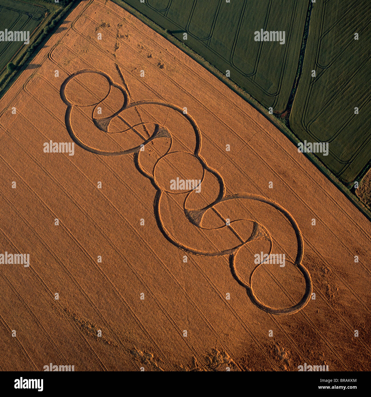 Aerial image of crop circle, Wiltshire, England, United Kingdom, Europe Stock Photo