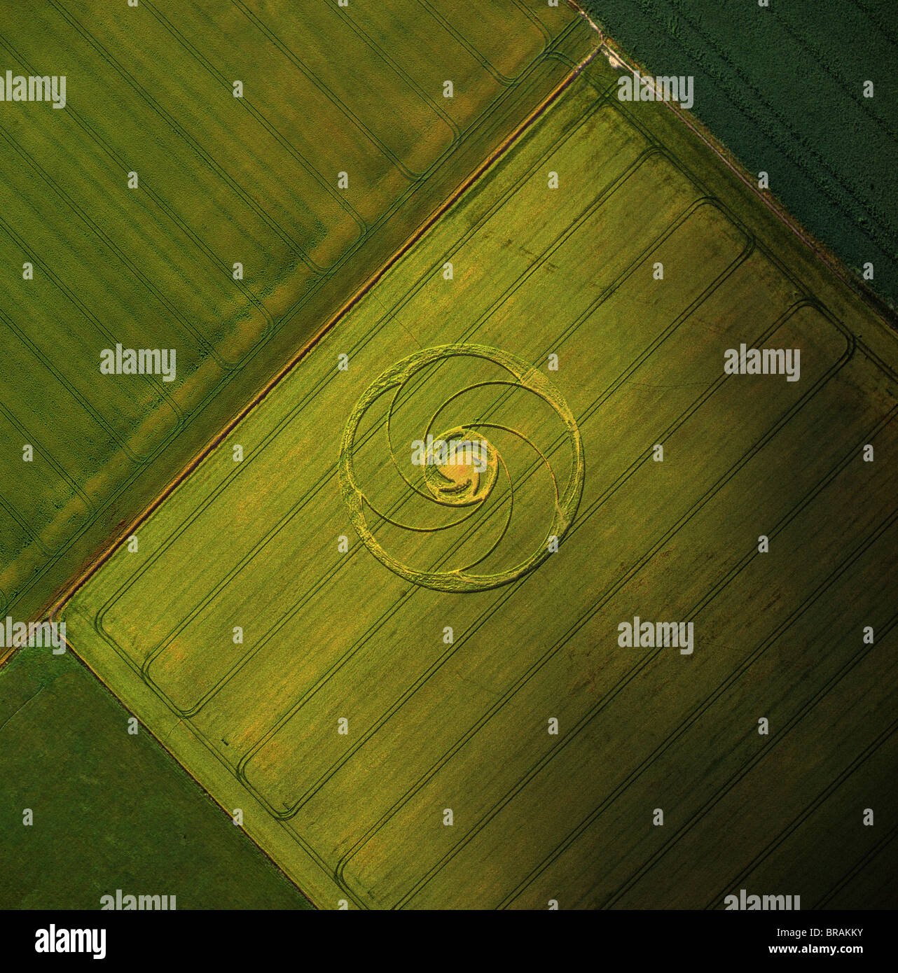 Aerial image of crop circle, Wiltshire, England, United Kingdom, Europe Stock Photo