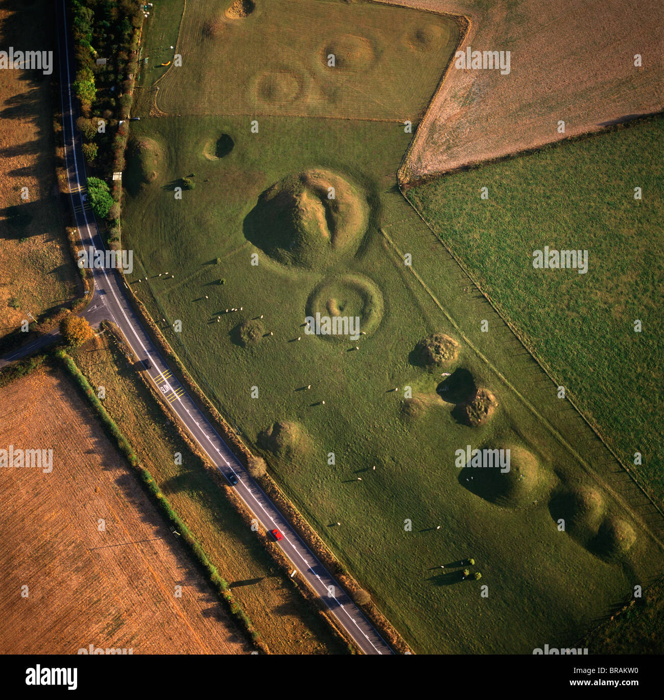 Aerial image of Winterbourne Poor Lot Round Barrows, Winterbourne Abbas, Dorset, England, United Kingdom, Europe Stock Photo