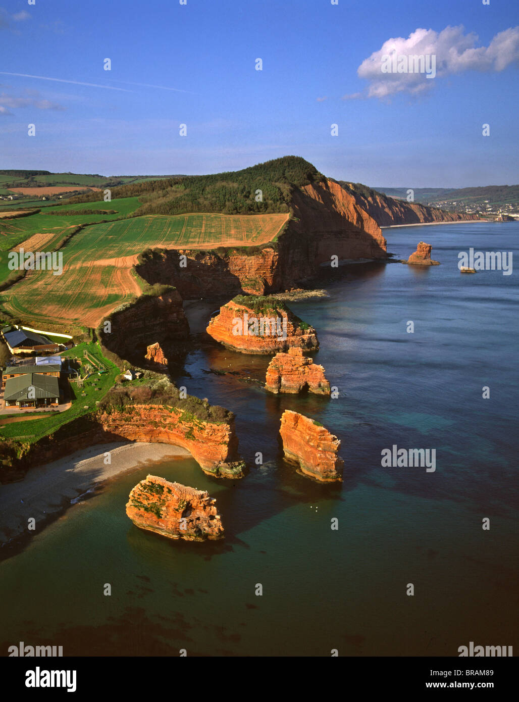 Aerial image of Rock Stacks, Otter Sandstone of Triassic age, Ladram Bay, Devon, England, United Kingdom, Europe Stock Photo