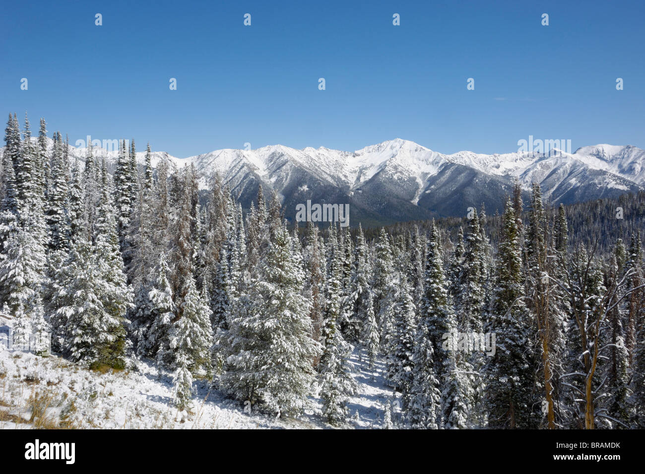 Bolder Mountains in first winter snow, near Galena, Rocky Mountains
