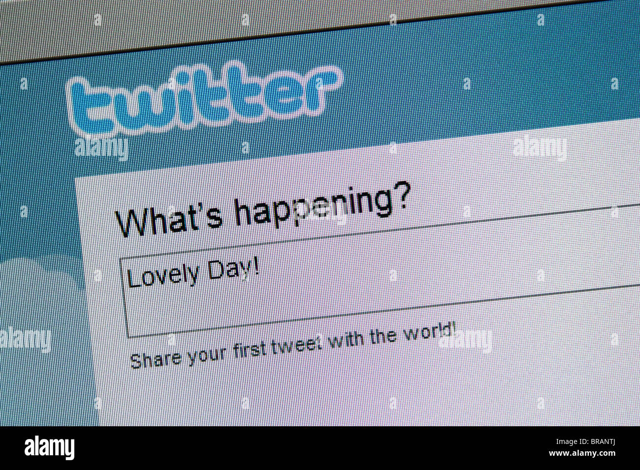 twitter website online twitter.com Stock Photo