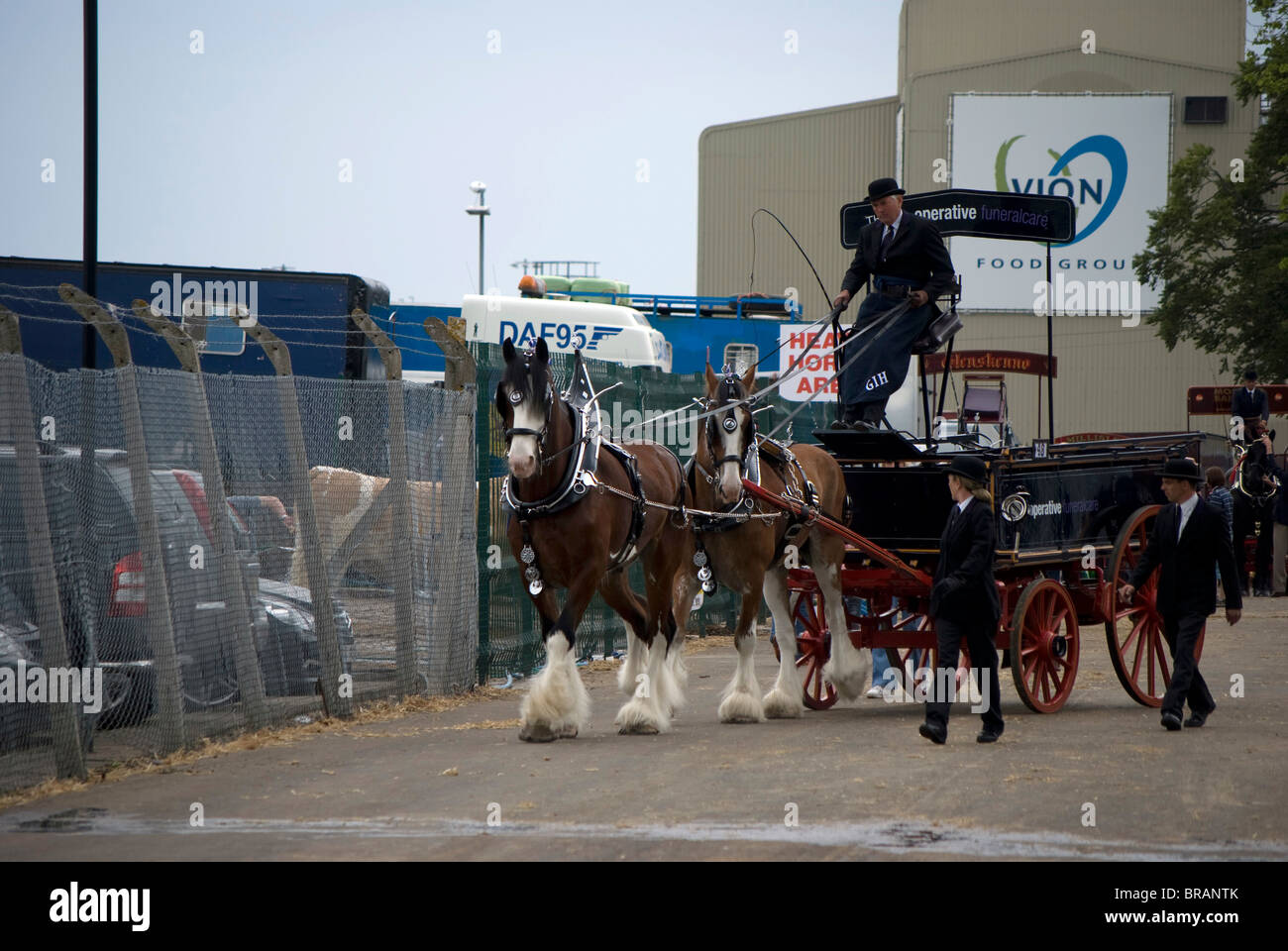 Heavy horses and trailer prior to a competition at the Royal Highland
