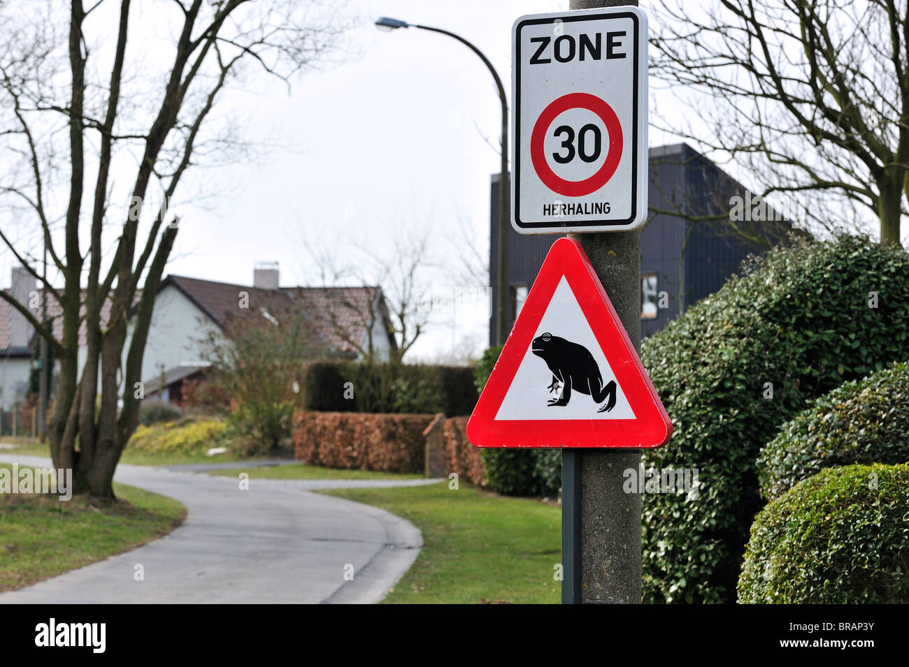 Warning sign for migrating amphibians / toads crossing the road during annual migration in the spring Stock Photo