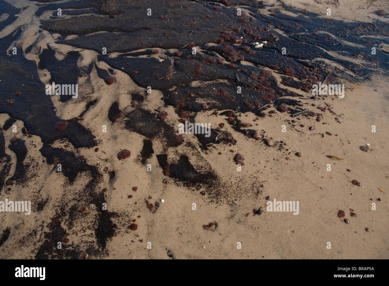 Oil from the BP oil spill in the Gulf of Mexico covers the shoreline of Waveland, Mississippi. Stock Photo